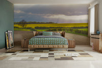 The design has a beautiful, elegant look.

