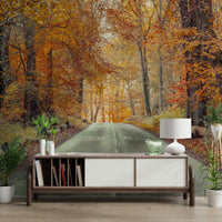 Peaceful fall forest mural

