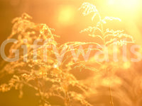 Horizontal format for an expansive view.

