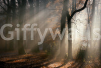 Gentle flowing sunlight shafts in Golden Haze backdrop wallmural.