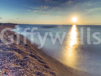 Golden Hour Shores Wall Mural