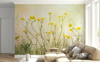 A contemplative golden field wallpaper mural for a feature wall.

