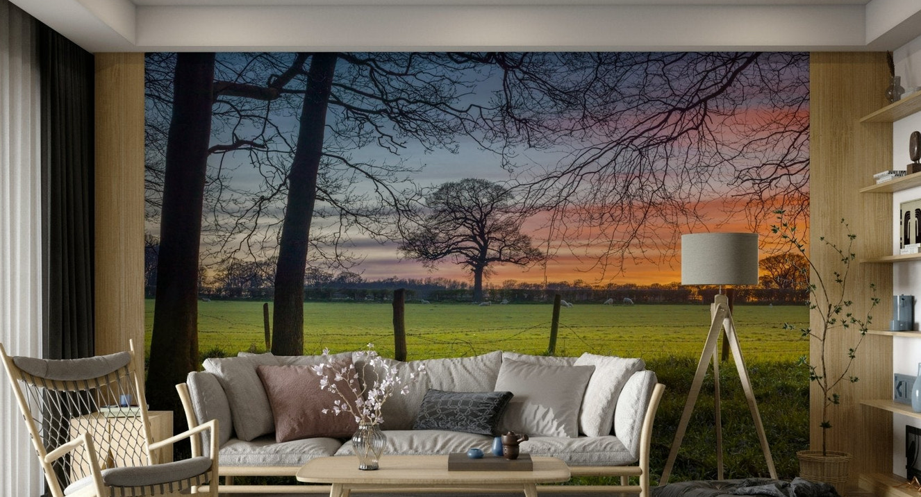 The design has a layered look, showing a long view into the field.

