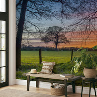 The image shows a full wall with a field of grass and flowers under a gentle, golden light.

