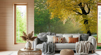 Golden Radiance Wall Mural