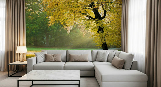Golden Radiance wallpaper mural of a golden autumn tree in a misty park behind a grey sectional sofa in a living room