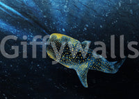 Golden Whale Shark swimming shadow deep water mural.