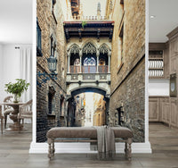 Historic bridge Gothic Quarter Archway decorative wall picture backdrop.