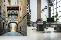 Ancient walkway Gothic Quarter Archway wall mural custom size available.