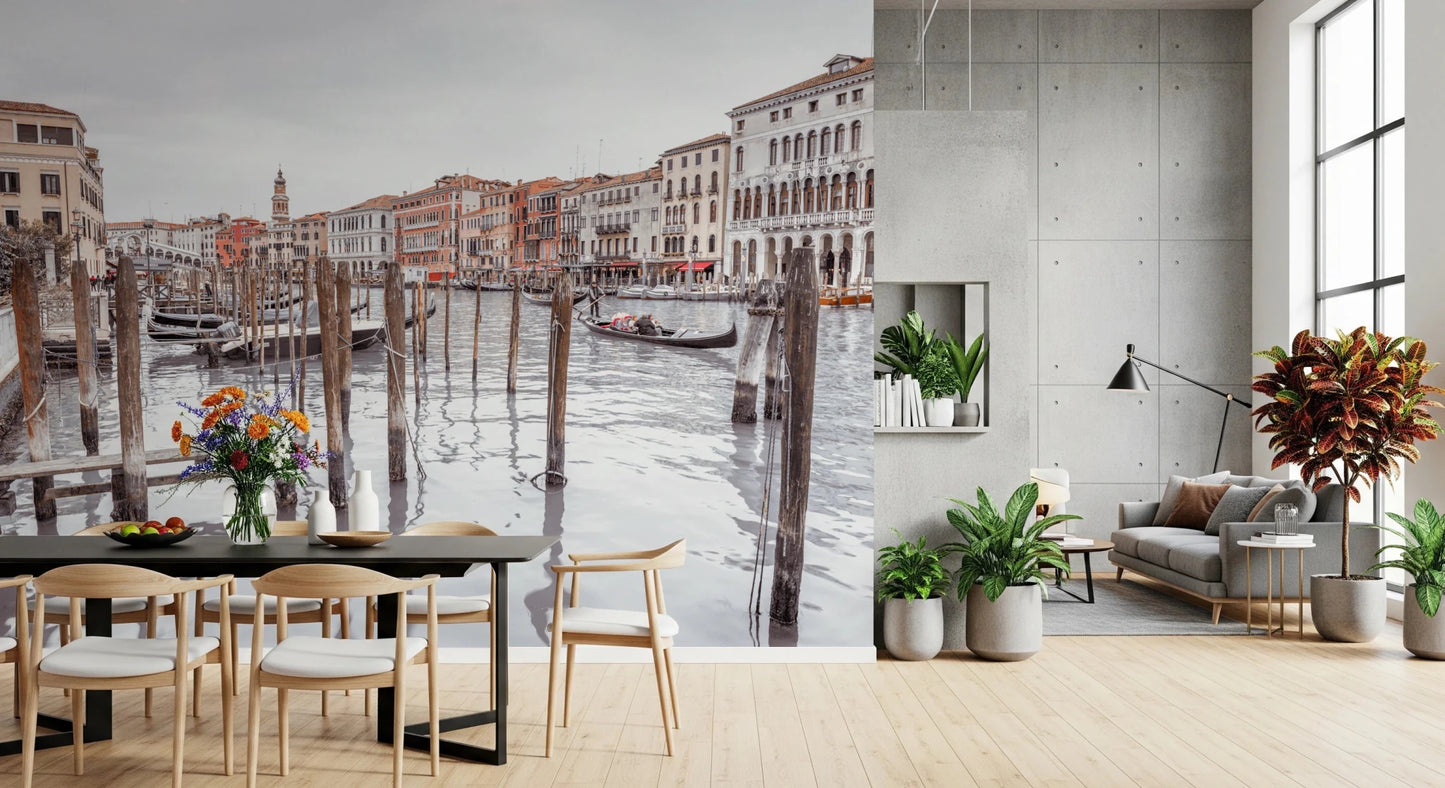 Grand Canal Vista Wall Mural