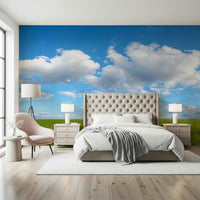 Peaceful wall mural, Grassland Under Sky setting.