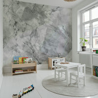 Gray Marble Veins Wall Mural featuring elegant gray marble textures with natural veining.