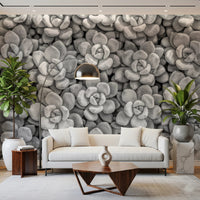 Detailed monochrome Grayscale Succulent Array Wall Mural print.
