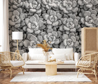 Neutral tone Grayscale Succulent Array Wall Mural featuring layered plants.