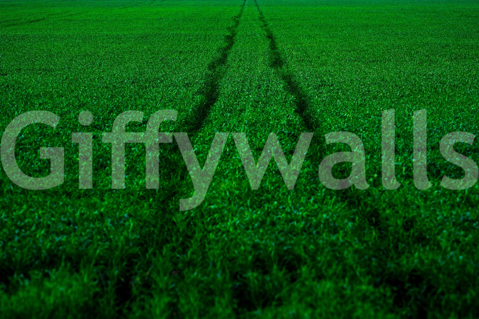 A high-quality minimalist track wall mural for walls.

