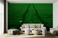 A beautiful runner silhouette wall mural for a training space.

