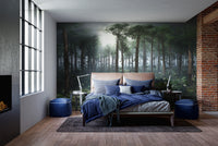 Green Tropical Foggy Forest Wallpaper Murals - Giffywalls