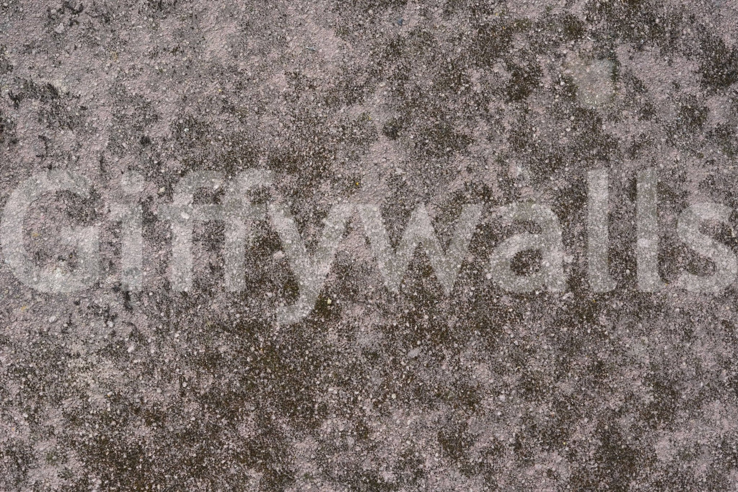 Grunge Finish Wall Mural -2566602