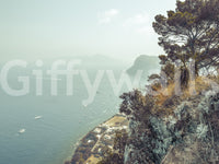 Wall decor evoking serene coastal landscapes.

