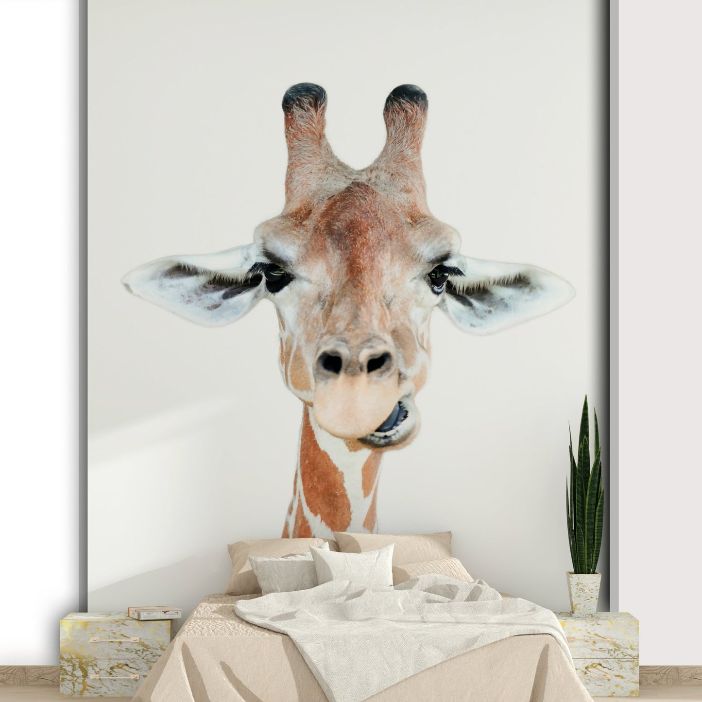 Inviting and comforting aesthetic.

