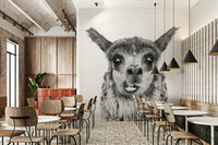 Cheerful or serene expression.

