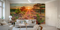 Tranquil sunset over heathland mural for a nature-inspired atmosphere.

