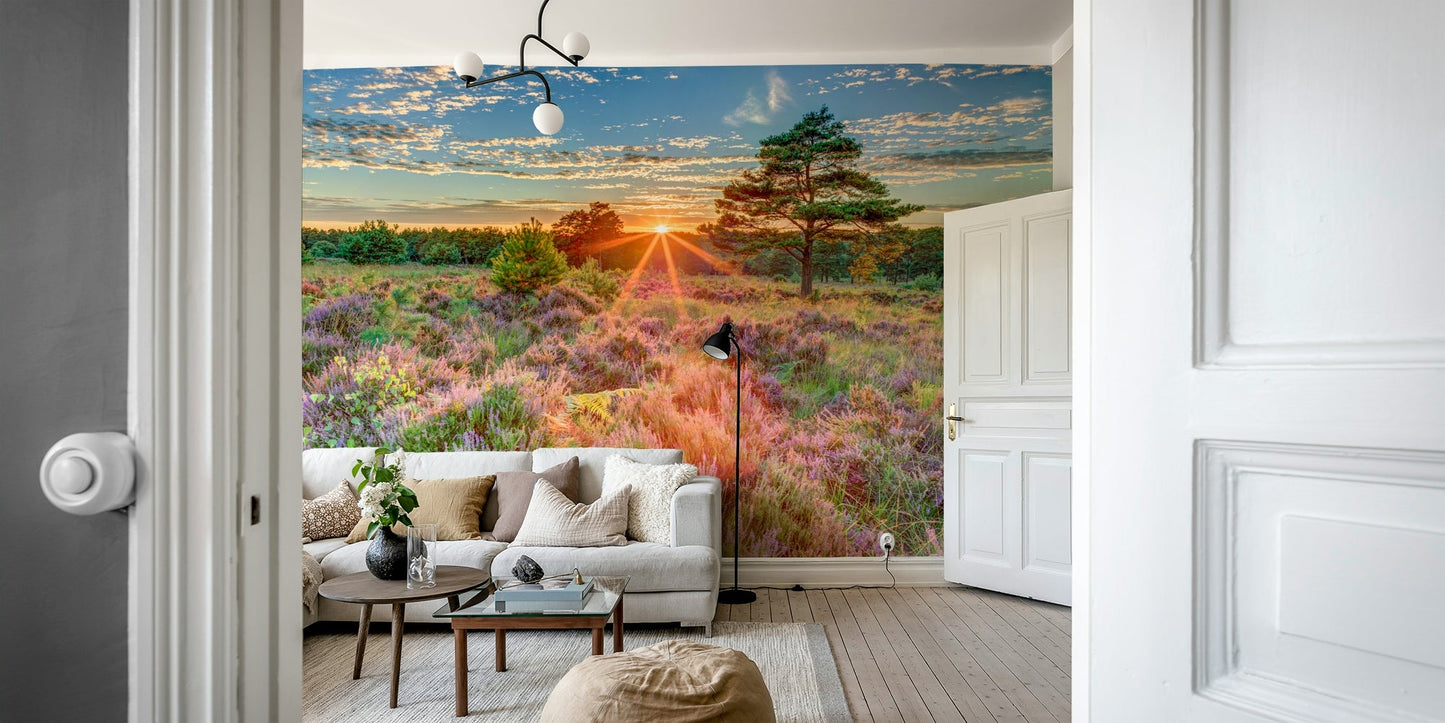 Vibrant sunset mural on premium material in a living room.

