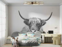 High-resolution image of a Highland bull.

