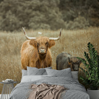 Beautiful Highland cow mural for a rustic home decor style.

