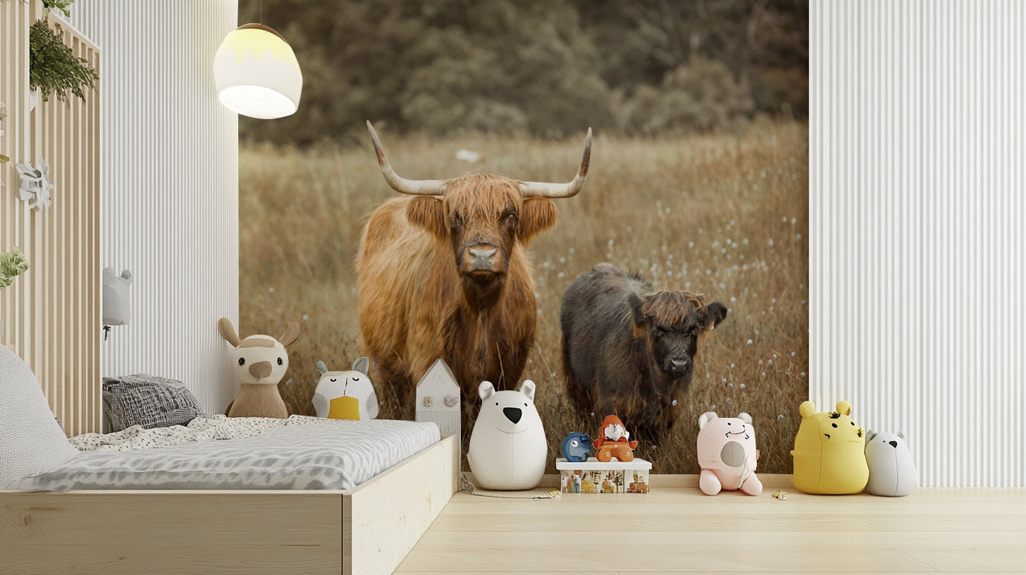 Majestic Highland cows wall mural for nature-inspired rooms.

