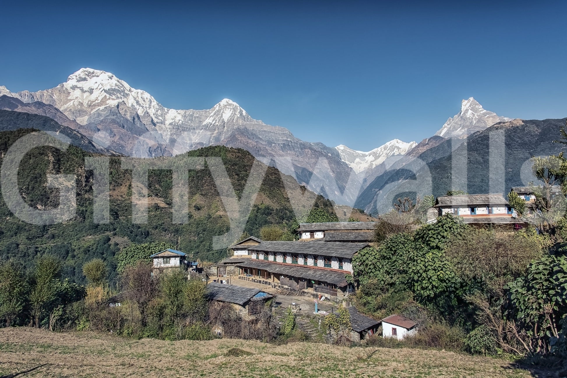 Himalayan Heights wall mural displaying traditional Nepalese architecture.