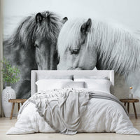 Graceful horse love design in wall mural format

