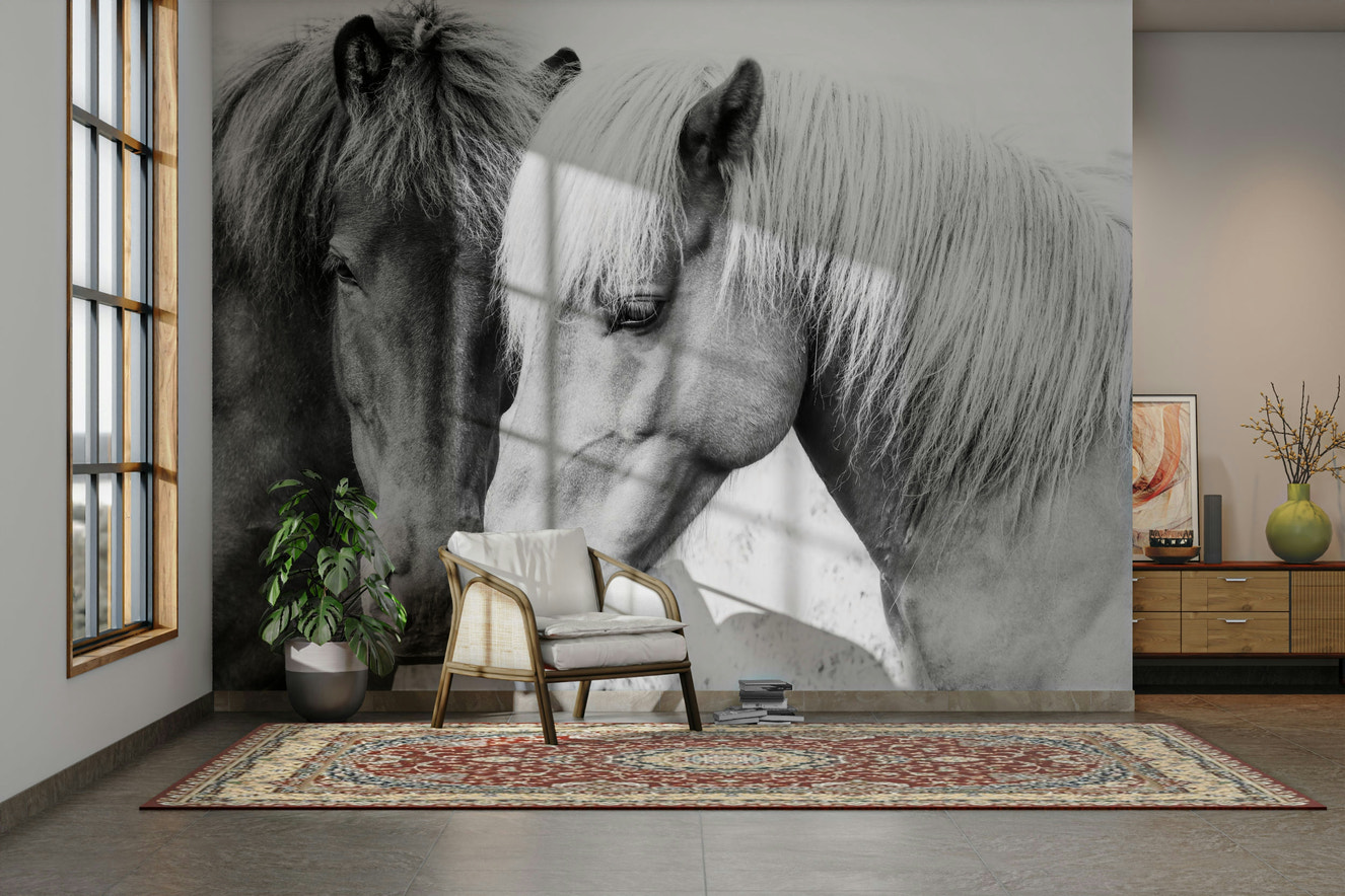 Elegant horse love mural design for interiors

