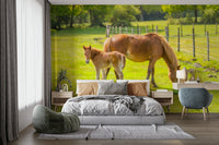 Serene horse and foal mural with rural landscape

