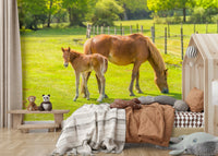Beautiful horse and foal mural with green grass backdrop

