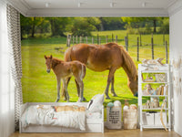 Horse and foal mural in lush green field

