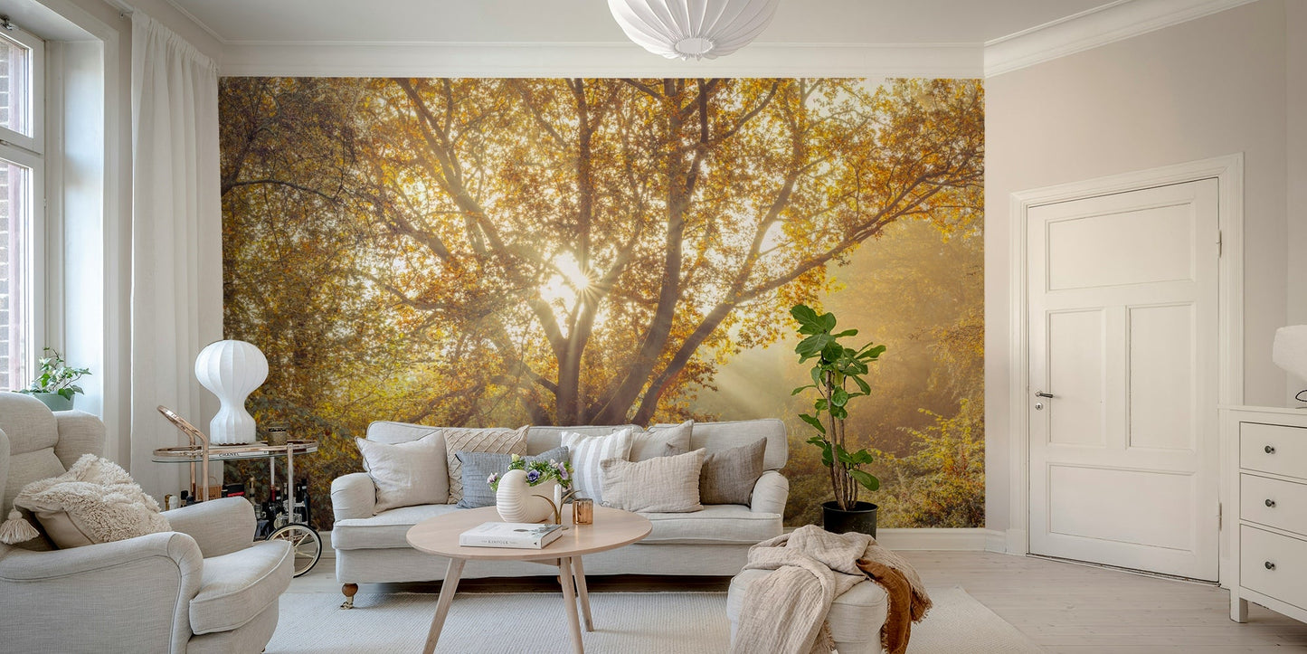 High-resolution image of a natural scene.

