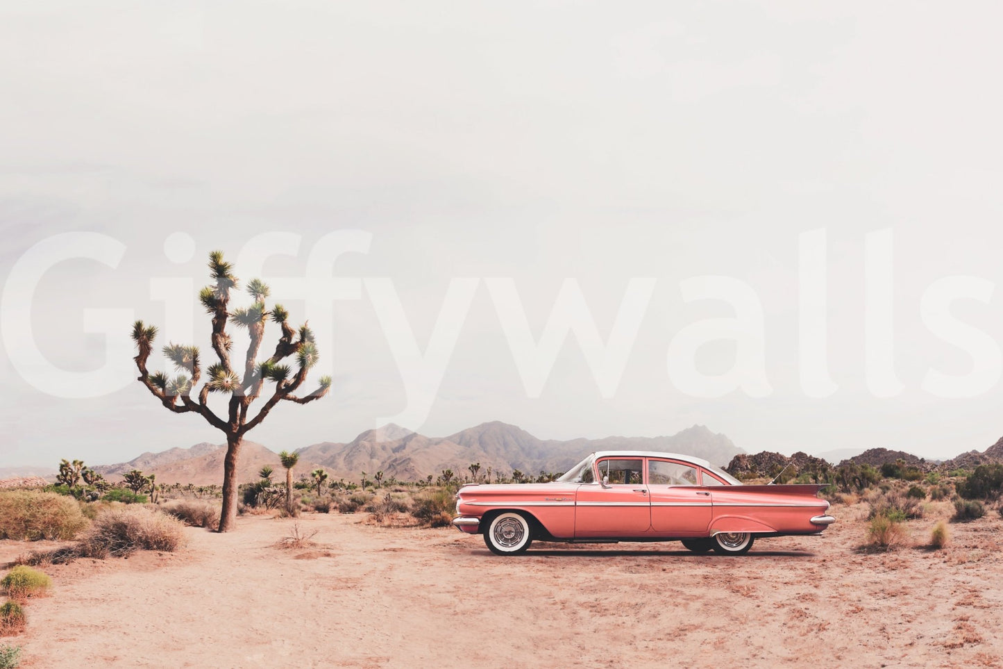 Wall decor evoking serenity and the raw beauty of nature.

