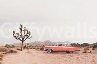 Wall decor evoking serenity and the raw beauty of nature.

