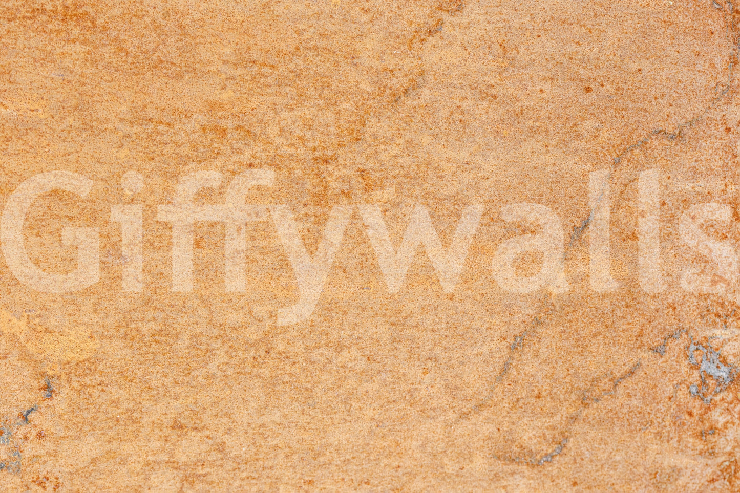 Oxidized Texture Wall Mural -2306164