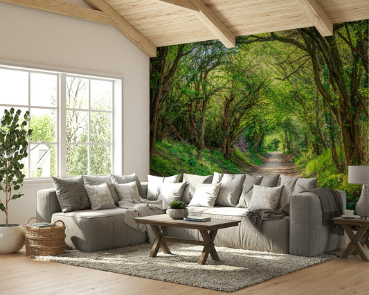 A minimalist home office with the forest wallpaper.

