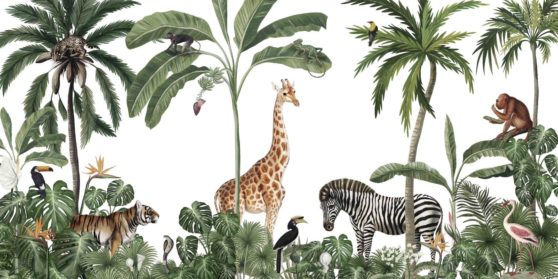 Forest tropical Fond d'écran Animaux sauvages et arbres