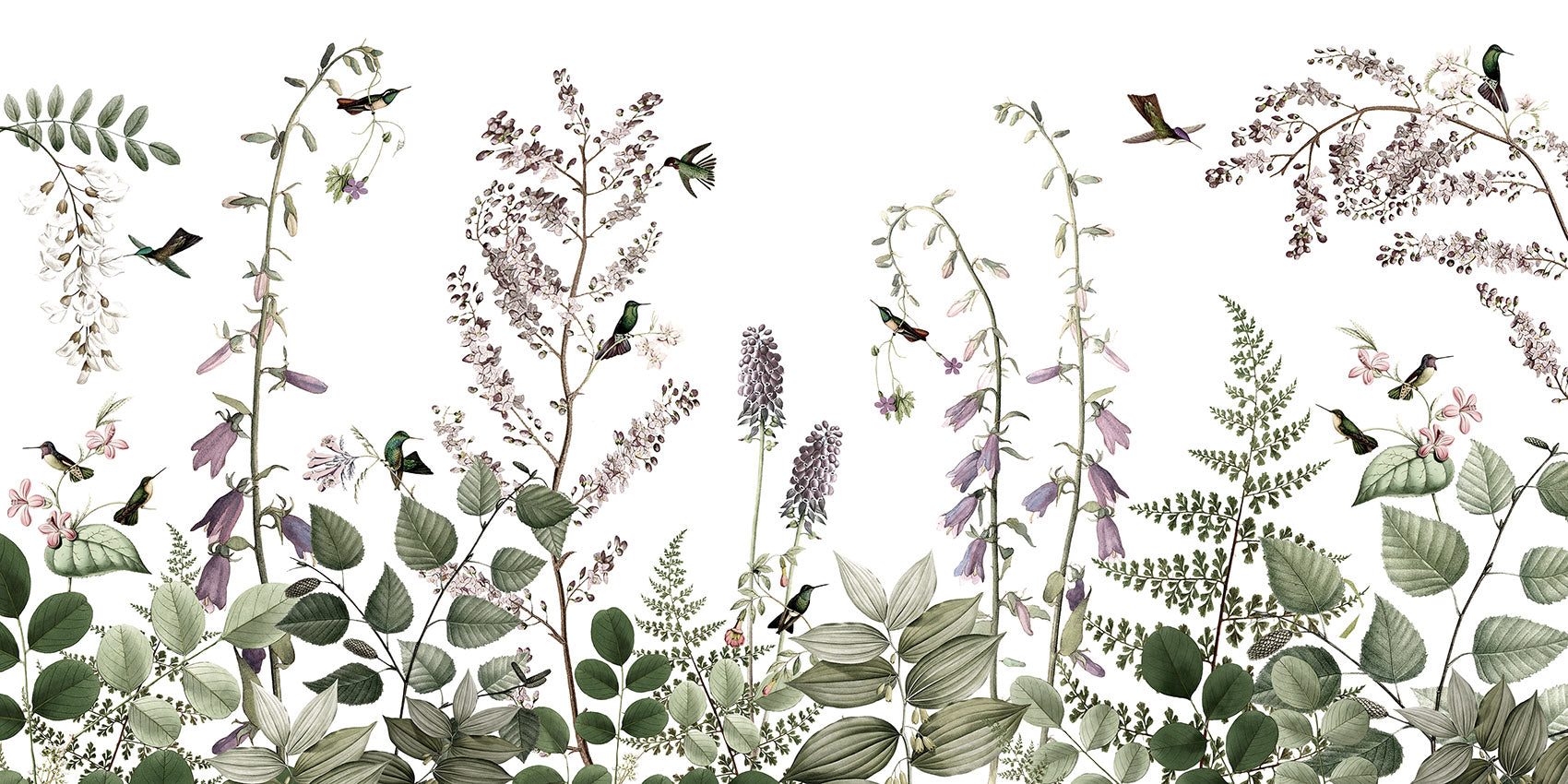Hummingbird Hedge Wall Mural in your room — zoomed