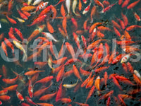 Inviting and calming aesthetic.

