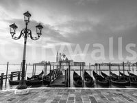 Lagoon Lights Wall Mural