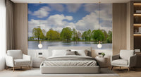 Refreshing bedroom tree line print, Lake Guardian Wall Mural.