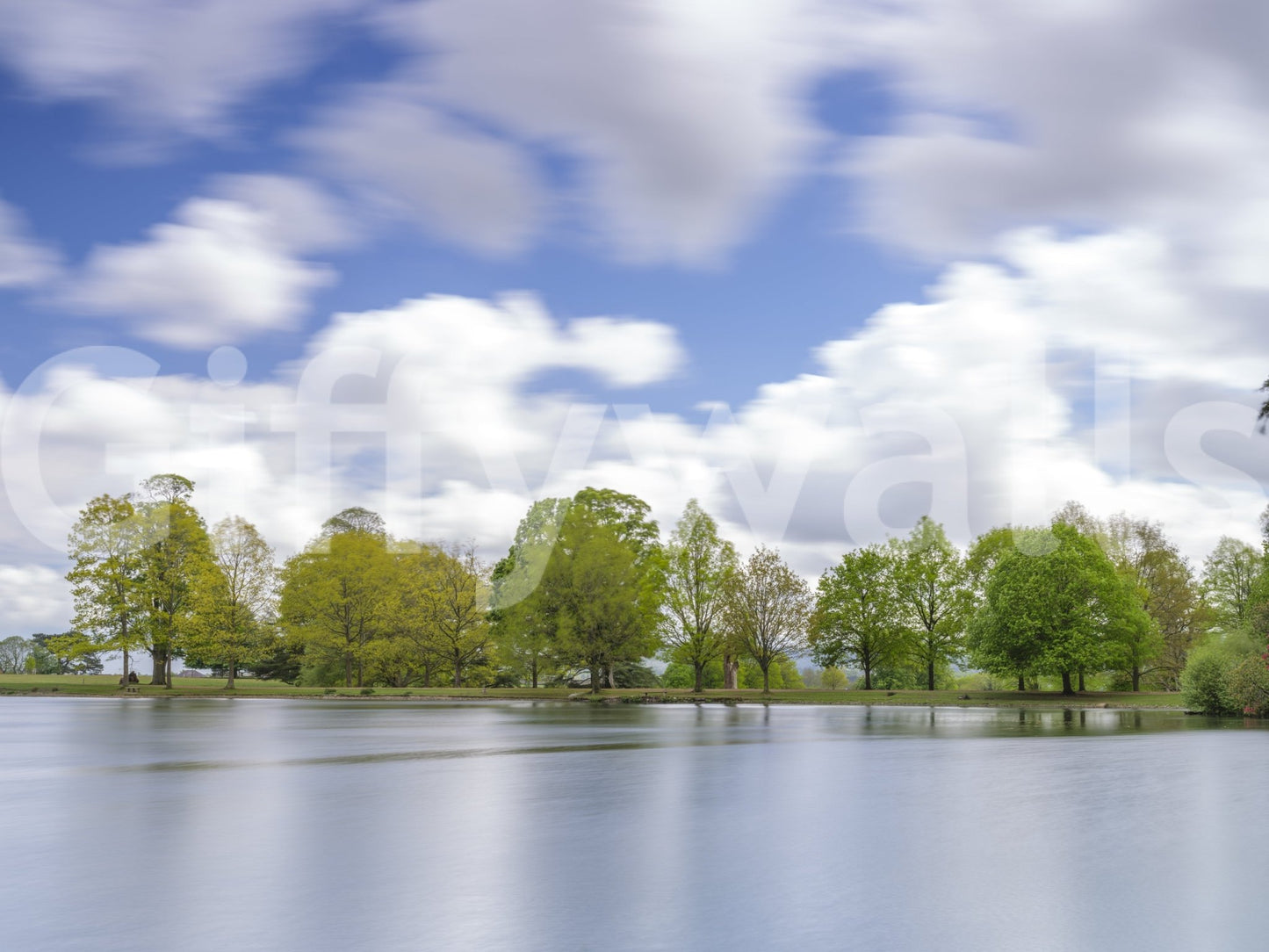 Calm shoreline view featuring the Lake Guardian Wall Mural art.