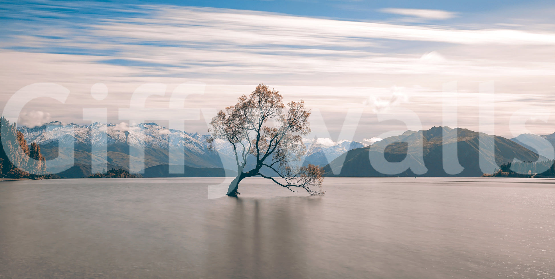 Lake Wanaka Tree Serenity Majestic peak backdrop, famous solitary plant, tranquil setting.