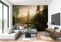 Bright sun filtering through pine trees on Lakeside Radiance for walls.