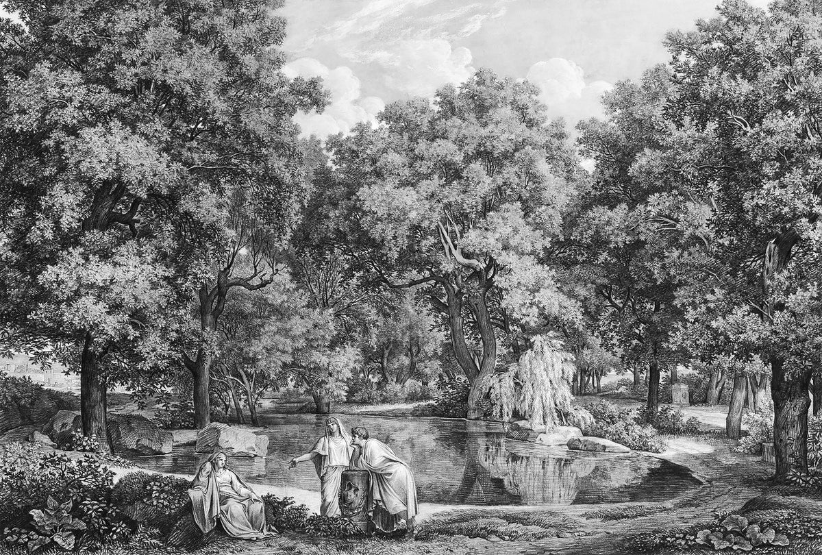 Black and White Lakeside Talk Wallpaper Mural in your room — zoomed